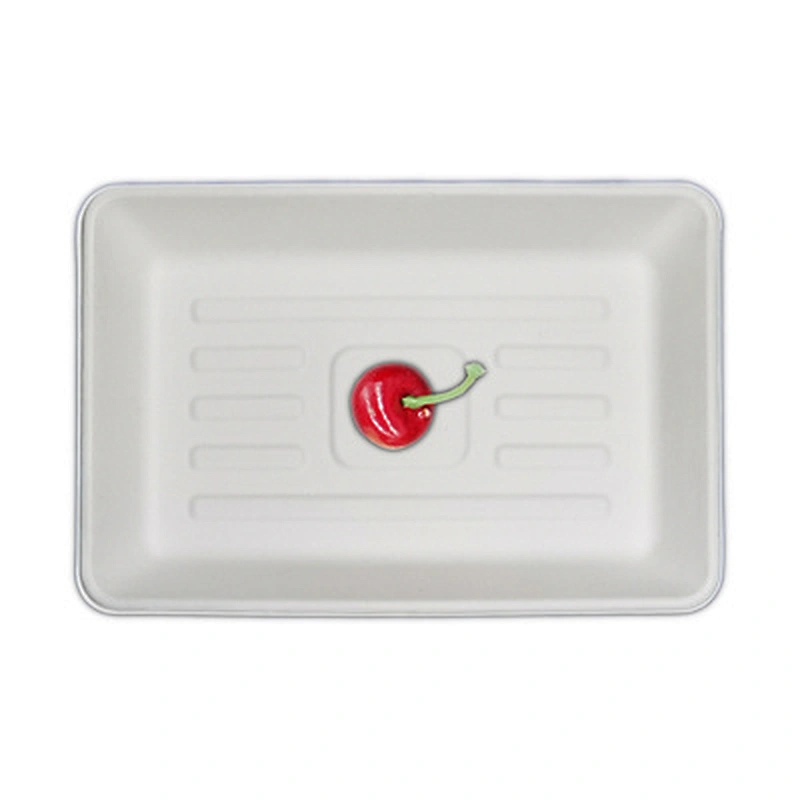 Sugarcane/Bagasse- tray