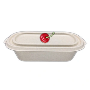 Sugarcane/Bagasse-800ml Food Container