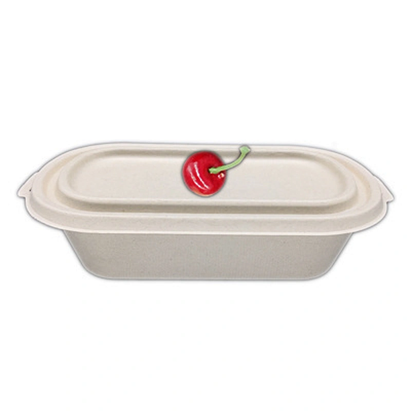 Sugarcane/Bagasse-800ml Food Container