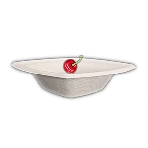 bagasse/sugarcane-12oz Square Bowl