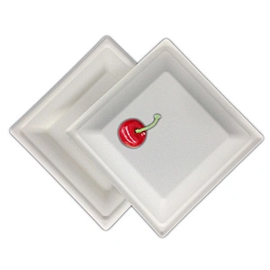 Sugarcane/Bagasse-8