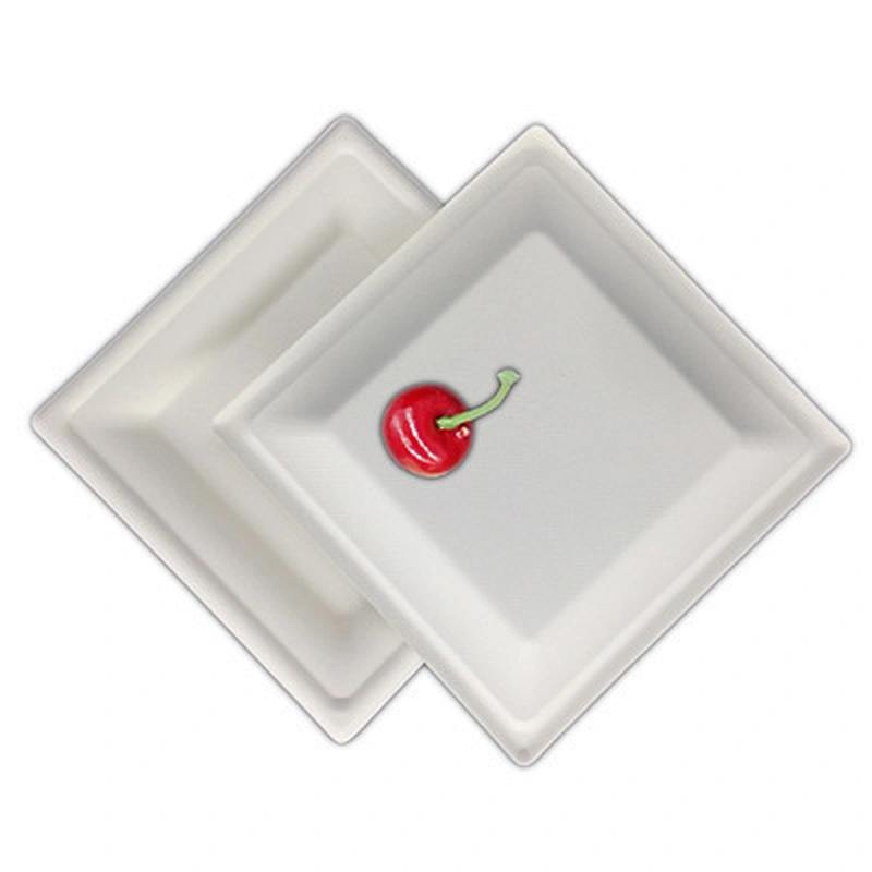 Sugarcane/Bagasse-8