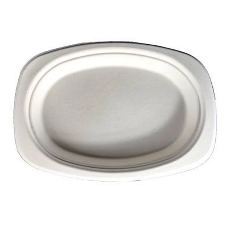 Sugarcane/Bagasse-9