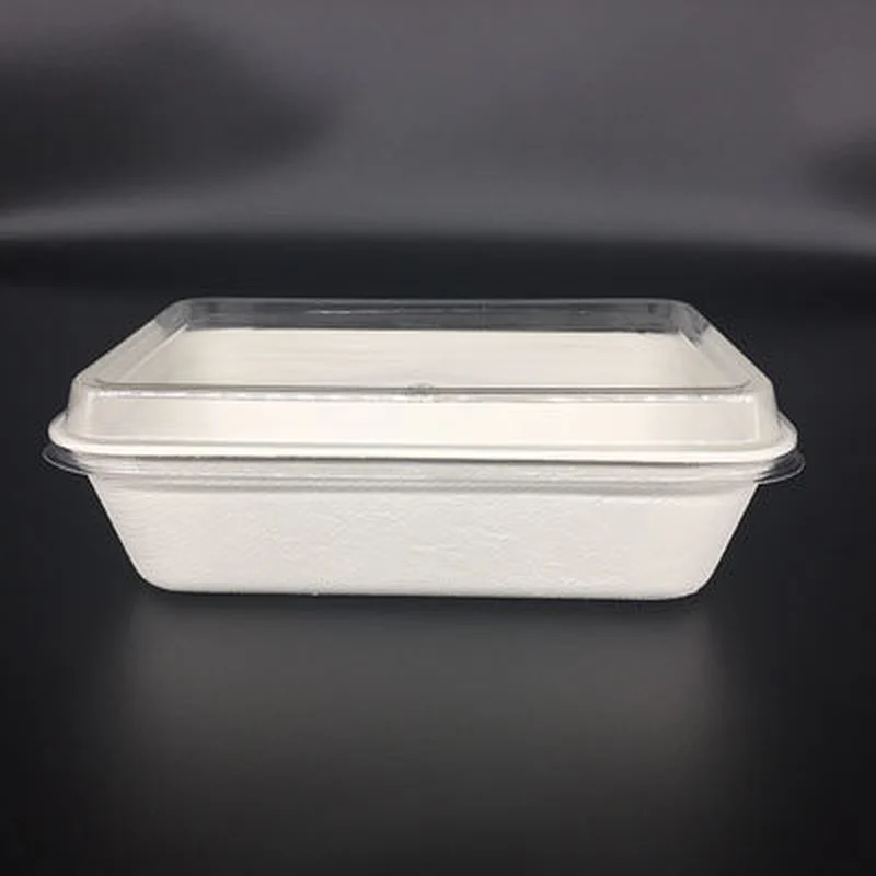Sugarcane/Bagasse-500ml Food Container
