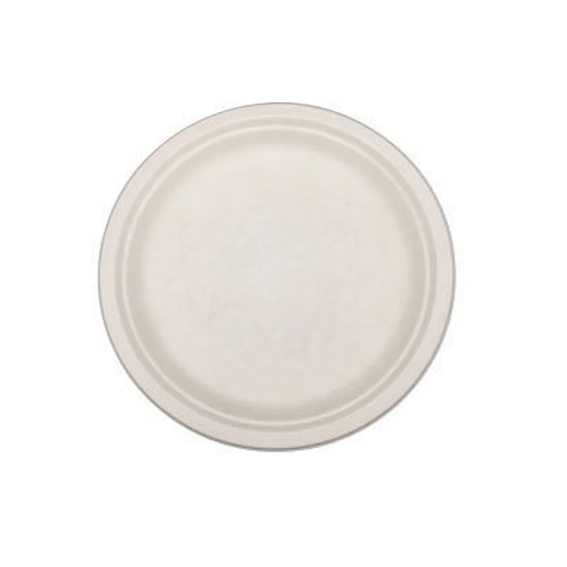 Sugarcane/Bagasse-10