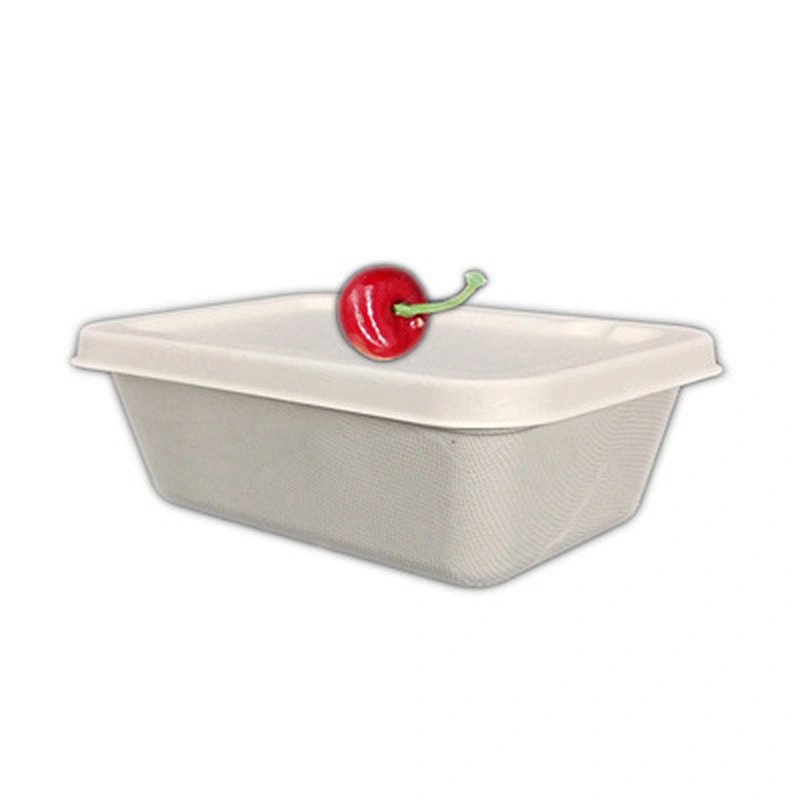 Sugarcane/Bagasse-650ml Food Container