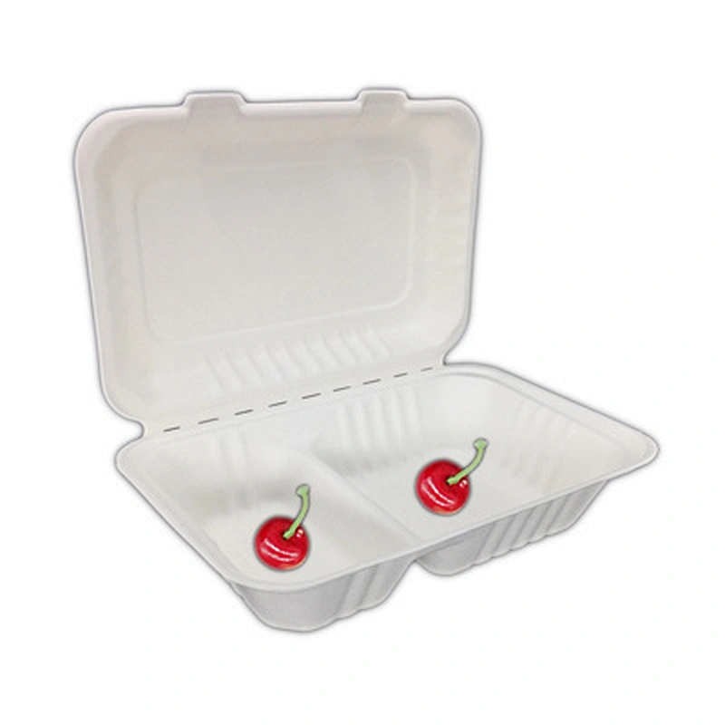 Sugarcane/Bagasse-9