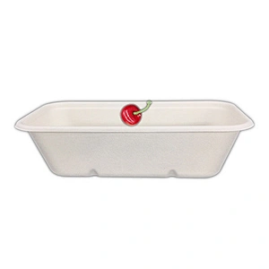 Sugarcane/Bagasse 1000ml Tray