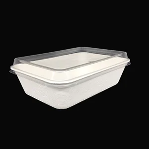 Sugarcane/Bagasse-650ml Food Container