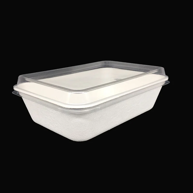 Sugarcane/Bagasse-650ml Food Container