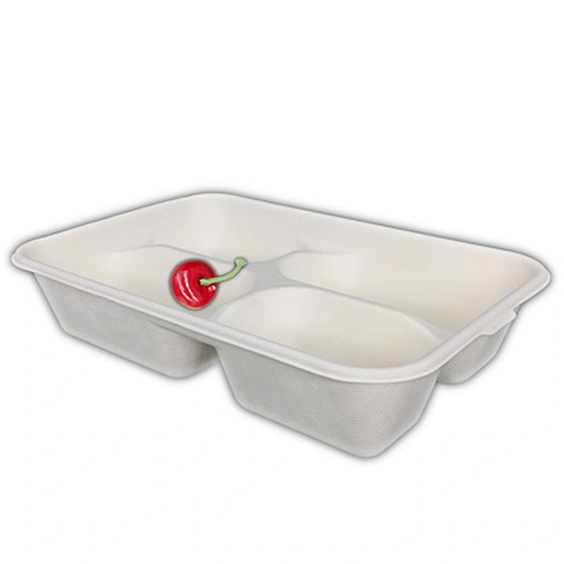 Sugarcane/Bagasse-Small 4 Compartment Tray