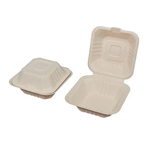 Sugarcane/Bagasse-6