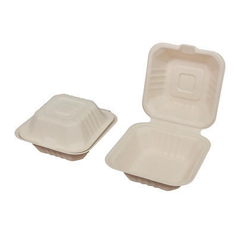 Sugarcane/Bagasse-6