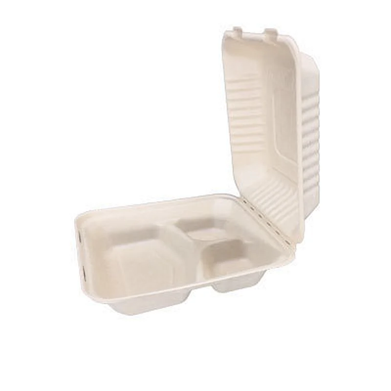 Sugarcane/Bagasse-9