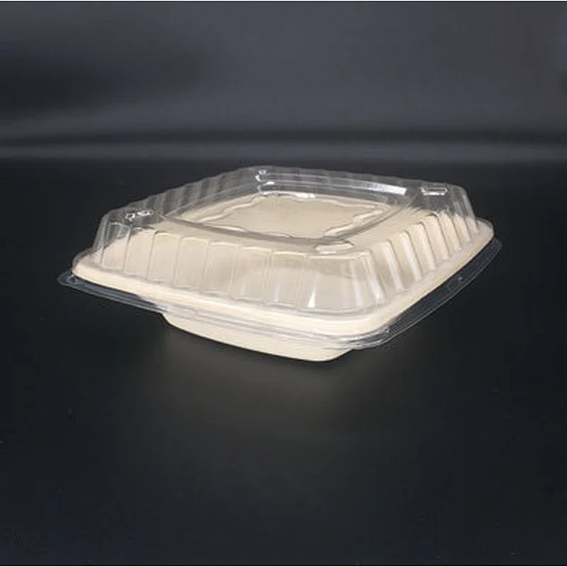 Sugarcane/Bagasse-16oz Square Bowl‚ Unbleached
