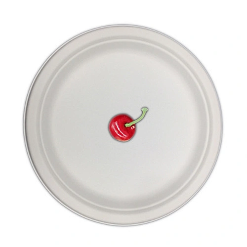 Sugarcane/Bagasse-23cm Round Plate
