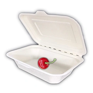 Sugarcane/Bagasse-600ml Clamshell