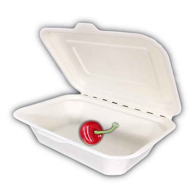 Sugarcane/Bagasse-600ml Clamshell