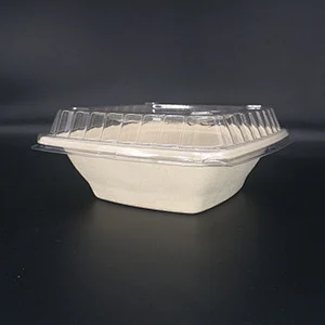 Sugarcane/Bagasse-24oz Square Bowl, Unbleached