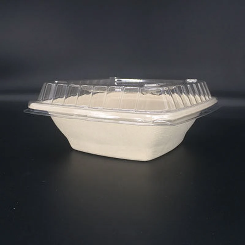 Sugarcane/Bagasse-24oz Square Bowl, Unbleached