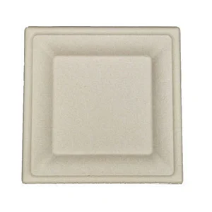Sugarcane/Bagasse-8