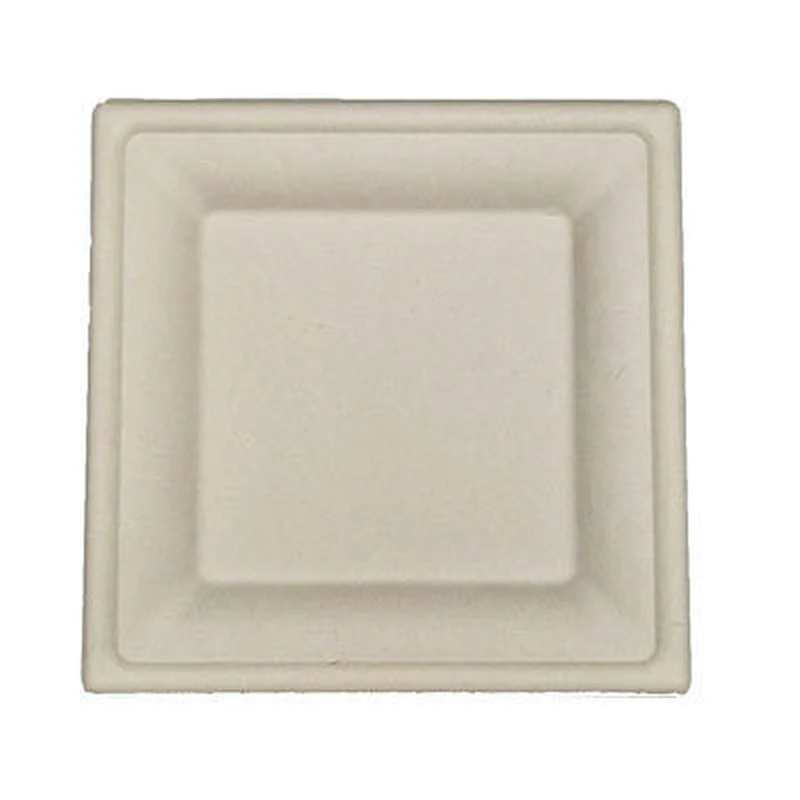 Sugarcane/Bagasse-8