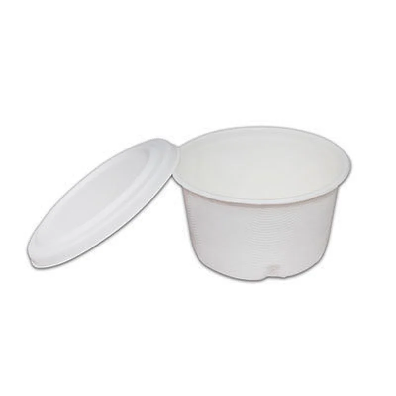 Sugarcane/Bagasse-4oz Cup