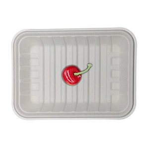 Sugarcane/Bagasse-Meat Tray