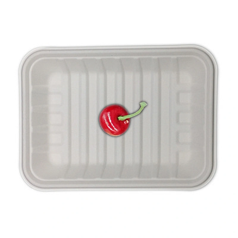 Sugarcane/Bagasse-Meat Tray