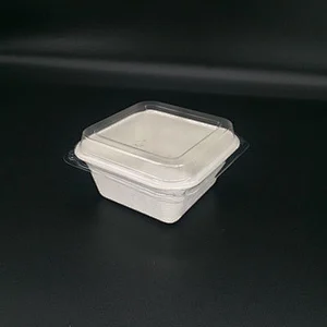Sugarcane/Bagasse- 250ml Square Container