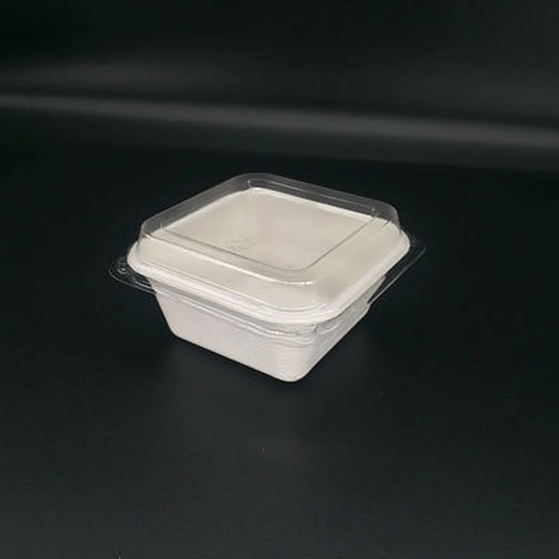 Sugarcane/Bagasse- 250ml Square Container