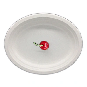 Sugarcane/Bagasse-12