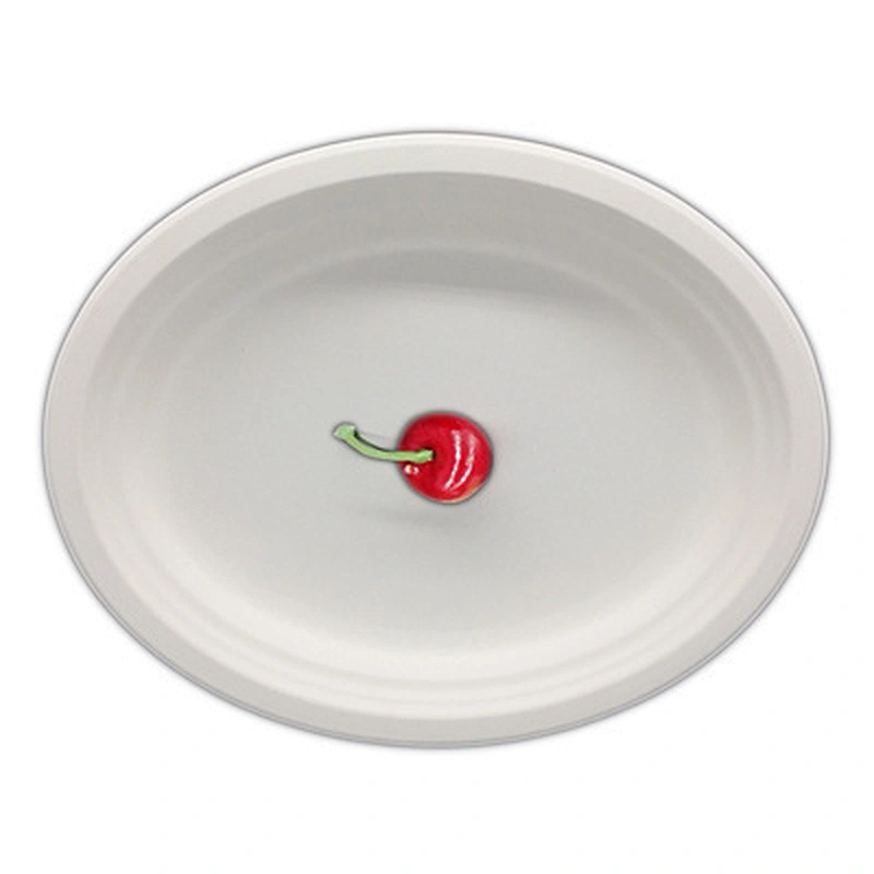 Sugarcane/Bagasse-12