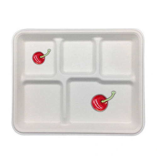 Sugarcane/Bagasse-5-com School Tray