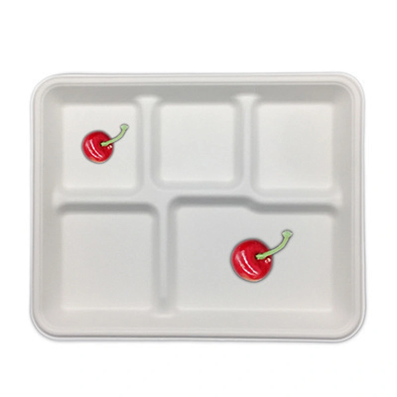 Sugarcane/Bagasse-5-com School Tray