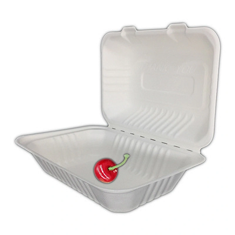Sugarcane/Bagasse-9