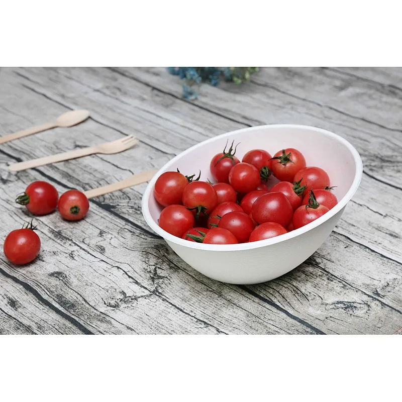 Sugarcane/Bagasse-850ml Sloped Bowl
