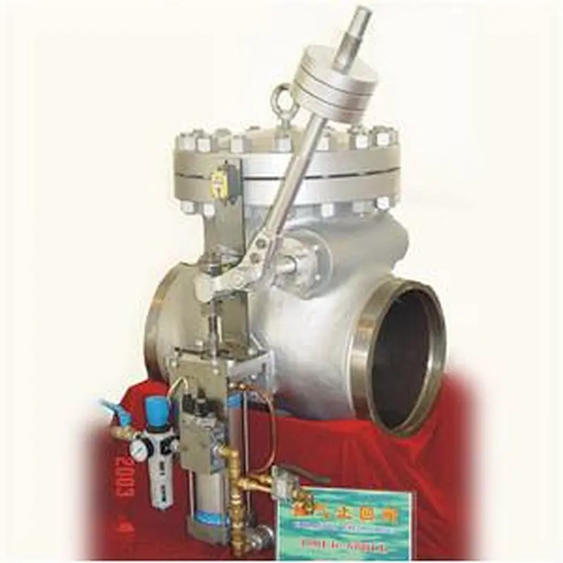 Steam Extraction Check Valve