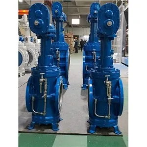 Double Block and Bleed Plug Valve