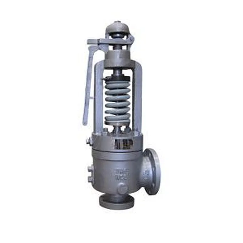 steam relief valve