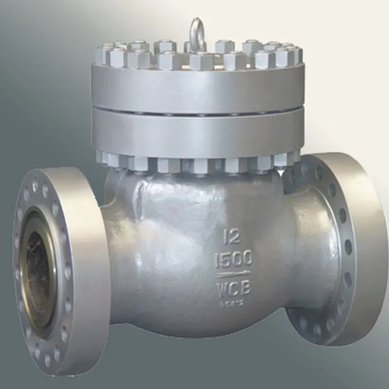 Swing Type Check Valve