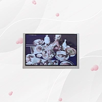 5 Inch Transflective Display