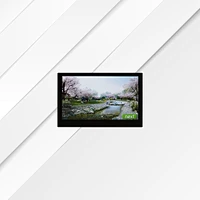 4.3 inch Intelligent Display with BT 801 Driver Chips