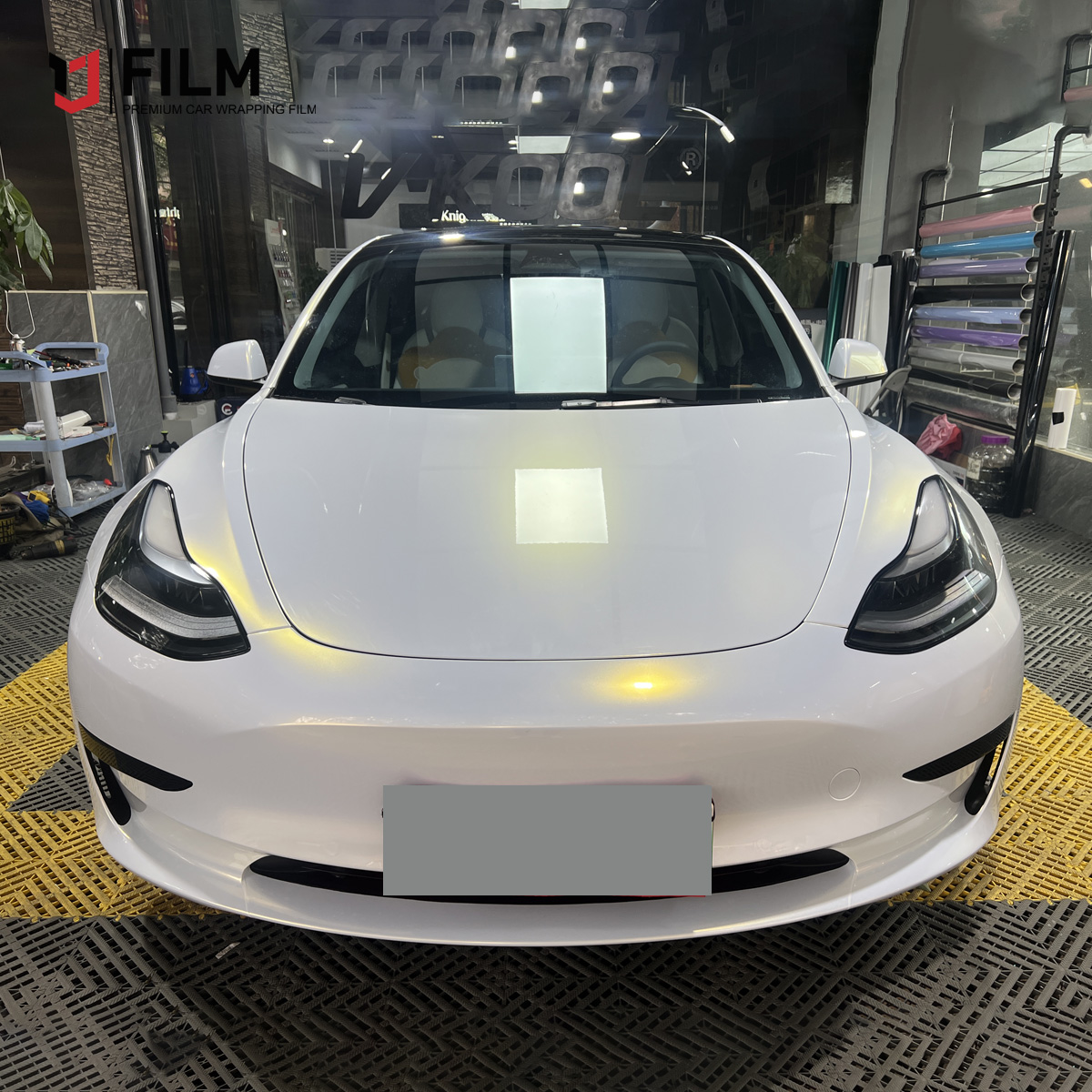 Vehicle Paint Protection