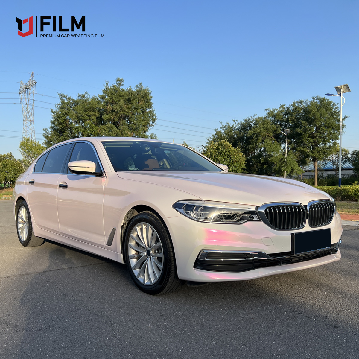 Auto Paint Protection