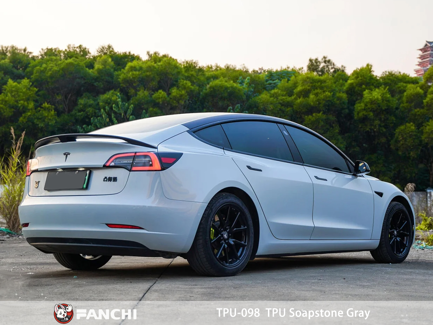 Paint protection film