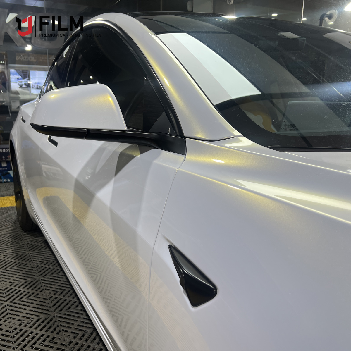 Vehicle Paint Protection