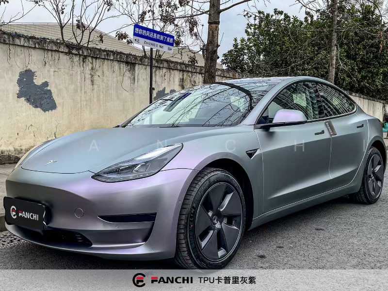 Grey Purple Wrap