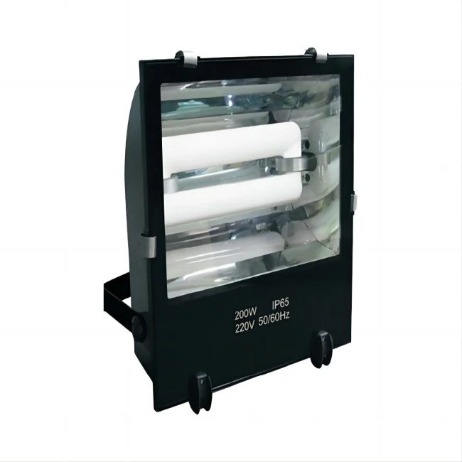 flood induction light
