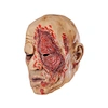 halloween facemask